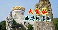 日美女少妇BB视频中国浙江-绍兴大香林旅游风景区
