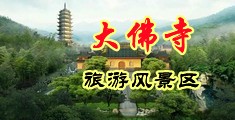男人的大鸡巴捅进女人的穴穴里面网站在线看中国浙江-新昌大佛寺旅游风景区
